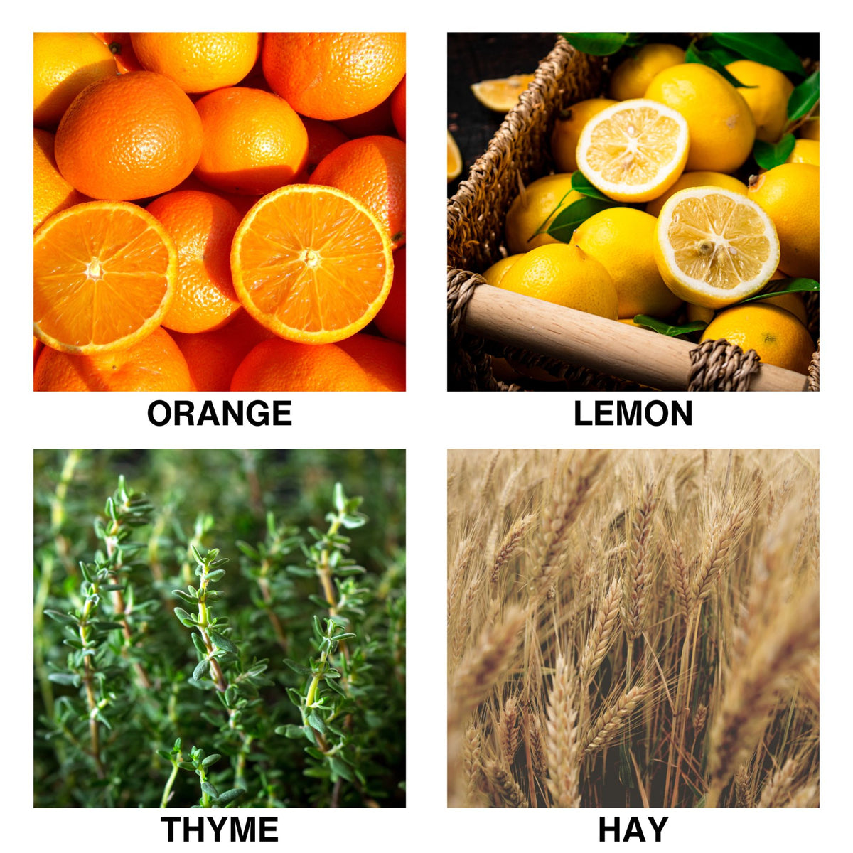 Aroma Reed Diffuser Refill Citrus Meadow-2