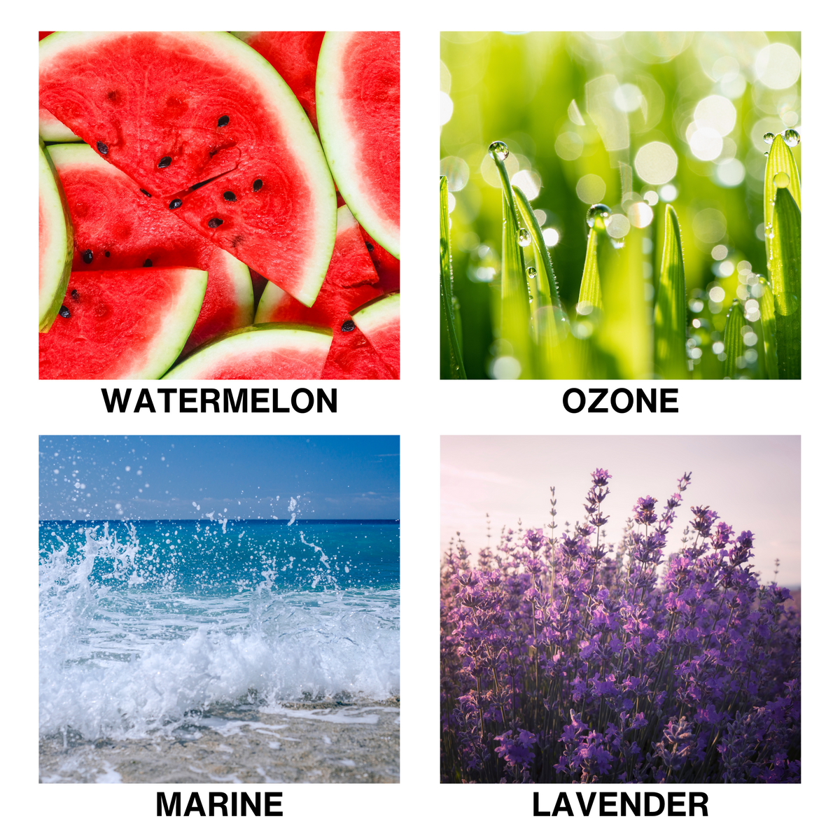 Aroma Reed Diffuser Oasis Drift-3