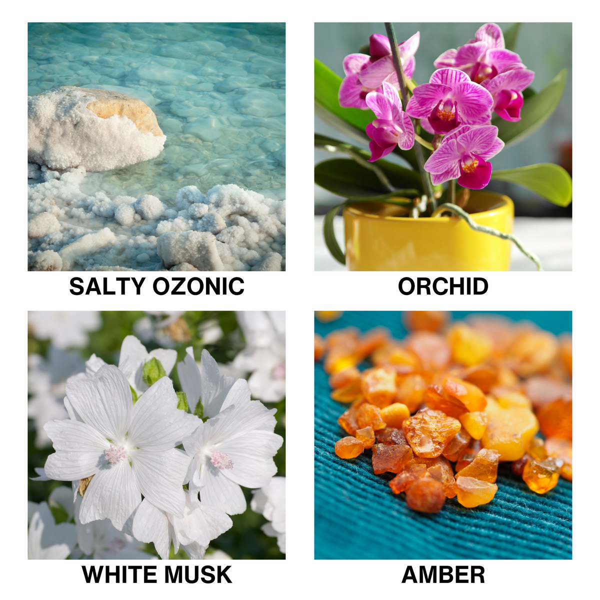 Aroma Reed Diffuser Silence-3