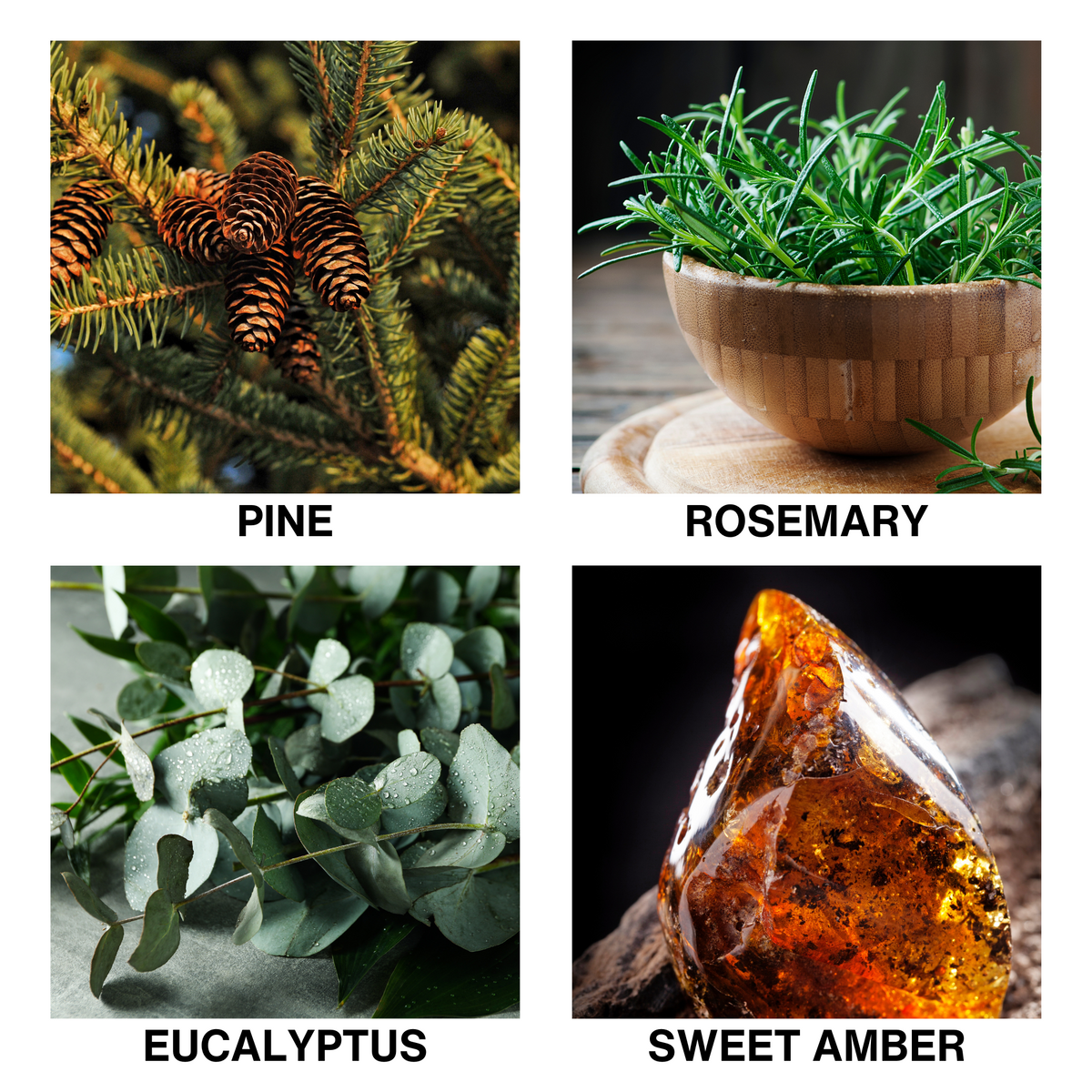Aroma Reed Diffuser Misty Pines-3
