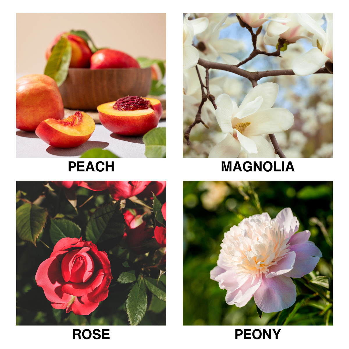 Aroma Reed Diffuser Flora D'Amour-3