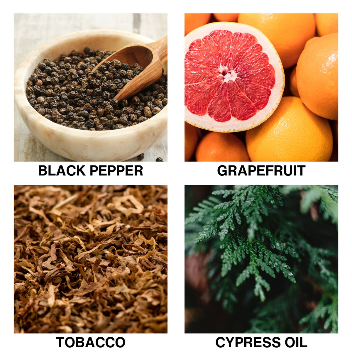 Aroma Reed Diffuser Refill Cypress Blaze-2