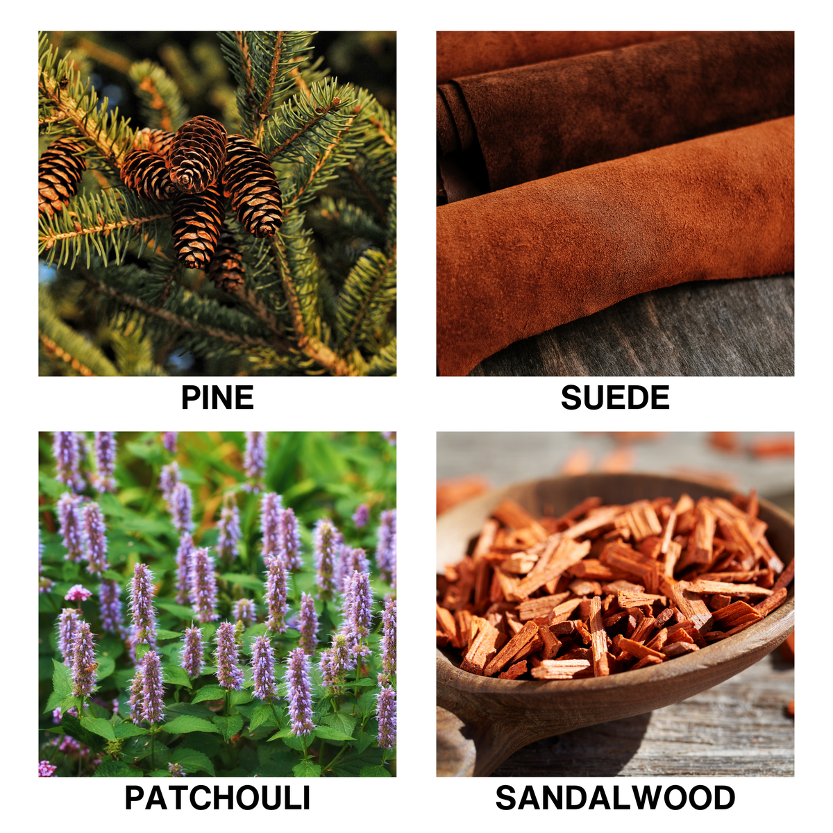 Aroma Reed Diffuser Wildwood-3
