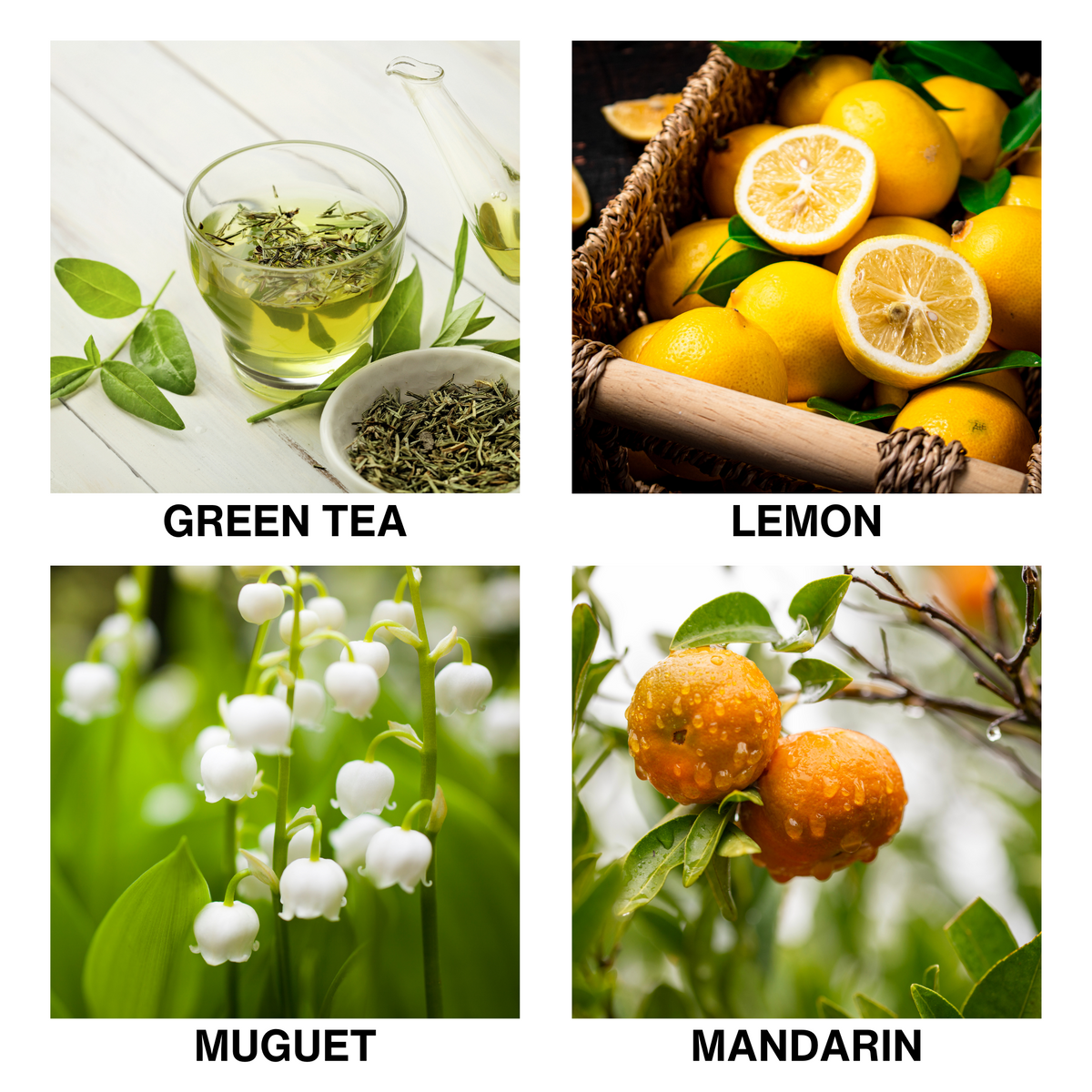 Aroma Reed Diffuser Tea Garden Bliss-3