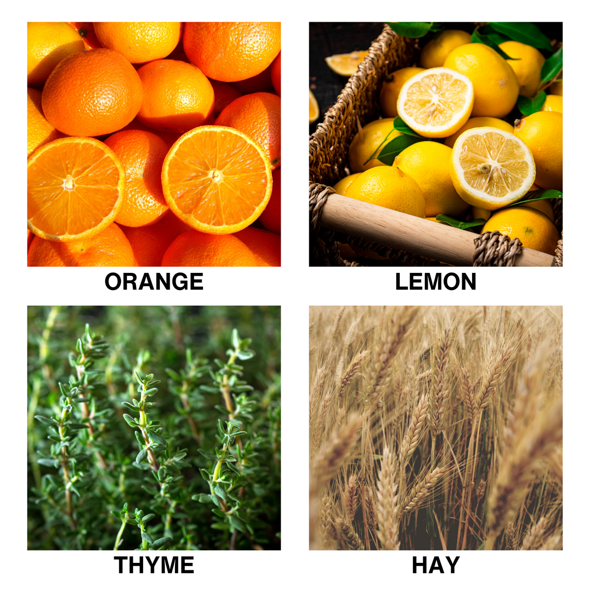 Aroma Reed Diffuser Citrus Meadow-3