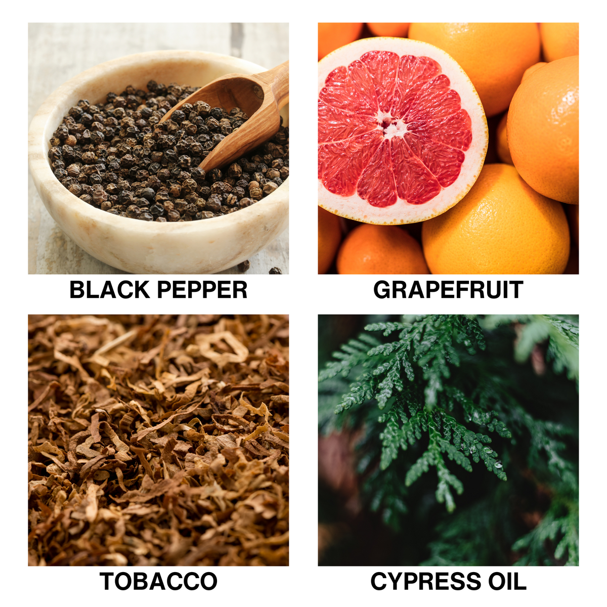 Aroma Reed Diffuser Cypress Blaze-3