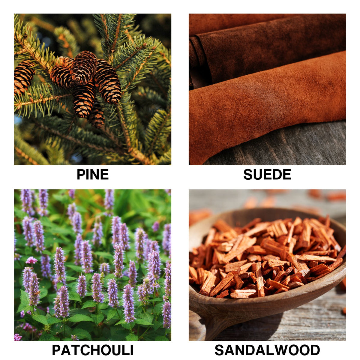Aroma Reed Diffuser Refill Wildwood-2