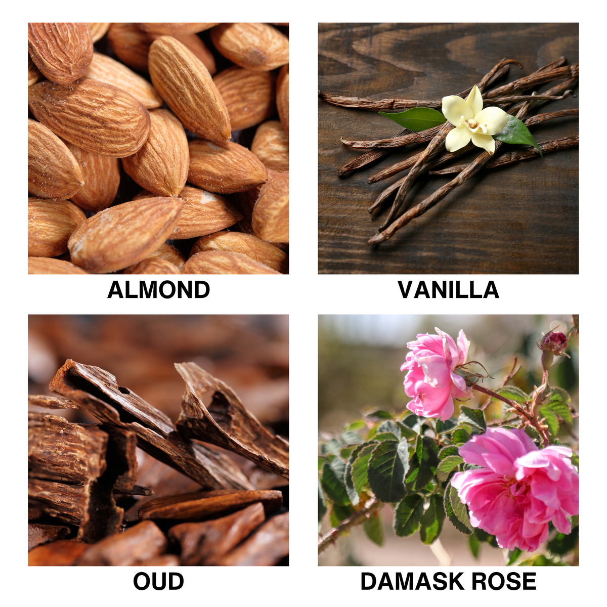 Aroma Reed Diffuser Golden Oud-3