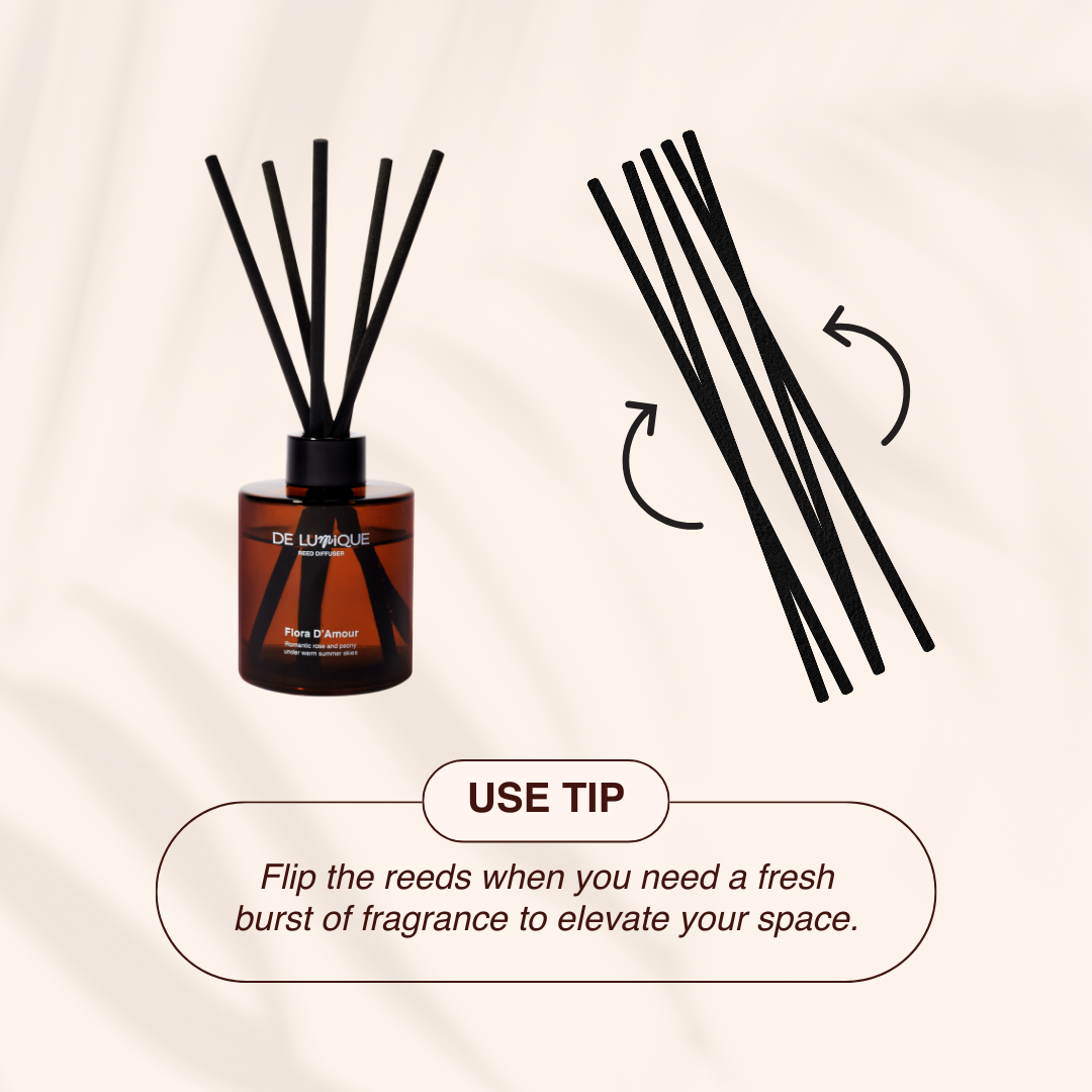 Aroma Reed Diffuser Wildwood-9
